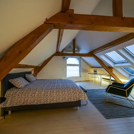 Huidevetterken Duplex