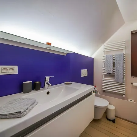 아파트 Huidevetterken Duplex